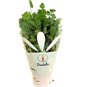 Kalendra vazonėlyje 1 vnt