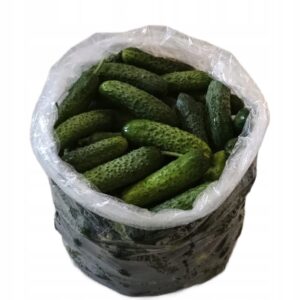 Agurkas, Lenkija, 10 kg (Maišas)