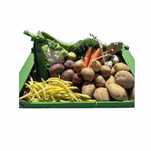 Šeimos rinkynis Svajonė