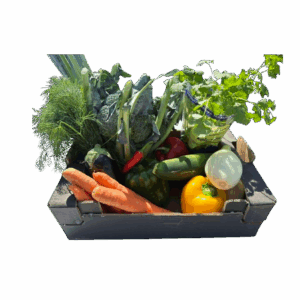 Šeimos rinkinys Šviežumas