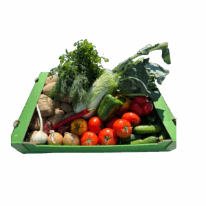 Šeimos rinkinys Universalus