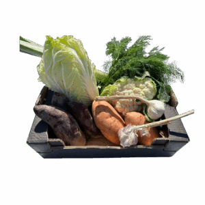 Šeimos rinkinys Šviežumas