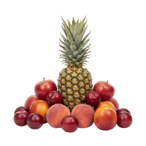 Egzotikos Džiaugsmas – 3,0 kg