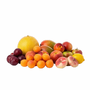 Sodo Karalius – 8,2 kg 