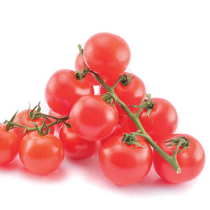 Pomidoras, Vine su šakelėm, Olandija, 1 kg